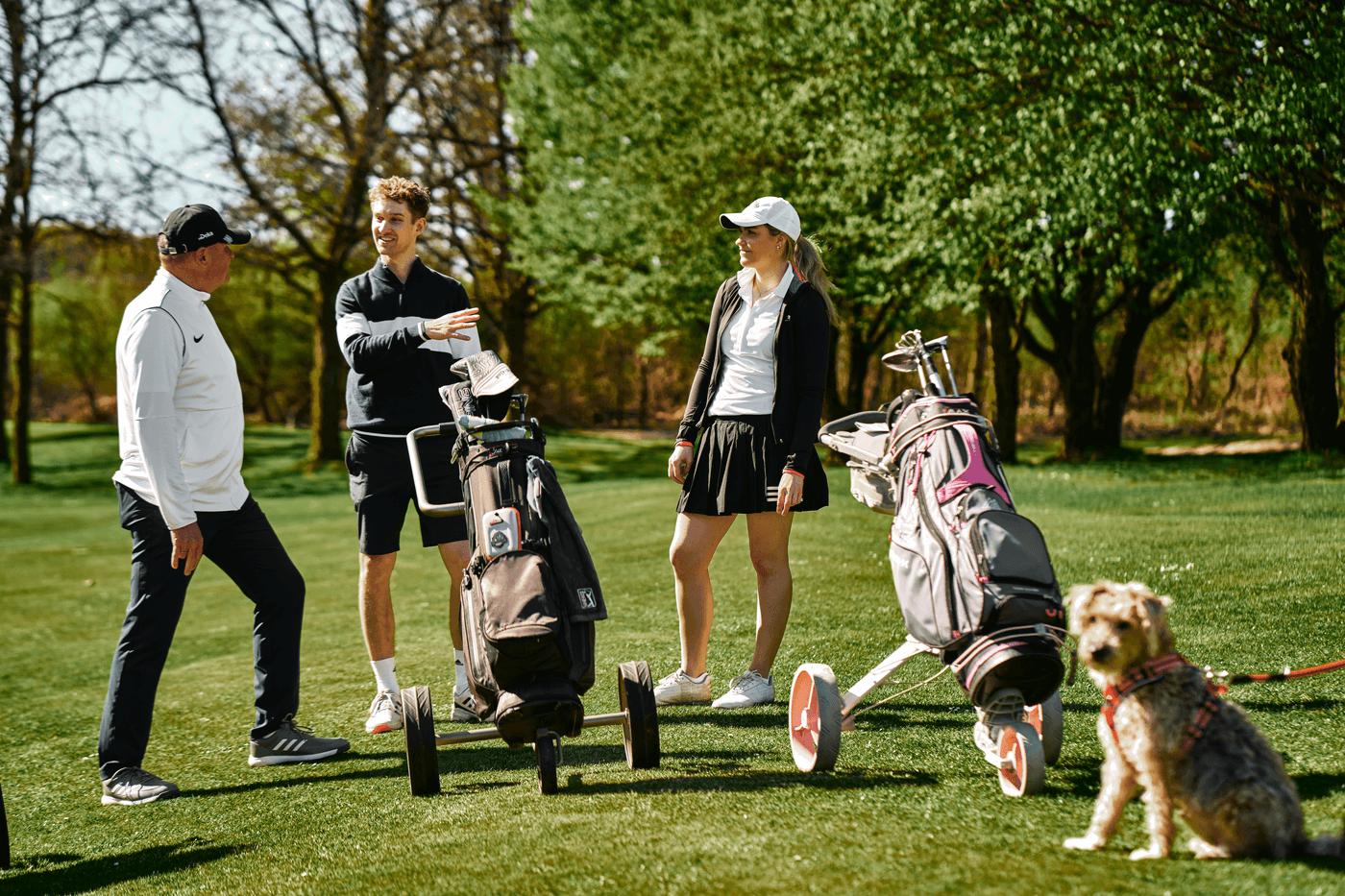 Golfer genießen einen sonnigen Tag auf dem Green, begleitet von einem Hund.